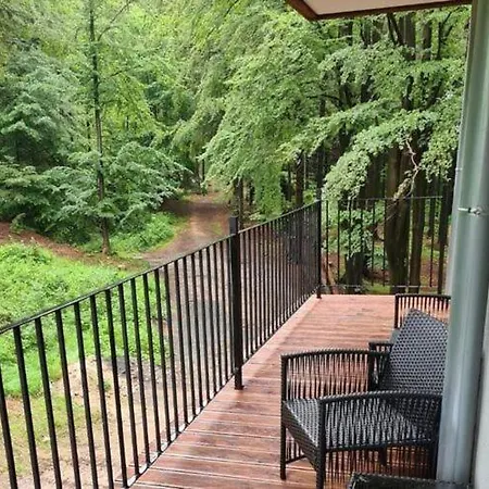 Large, Family With A View Of The Forest, Szklarska Por Ba Apartmán *