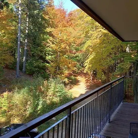 Large, Family With A View Of The Forest, Szklarska Por Ba Apartmán *